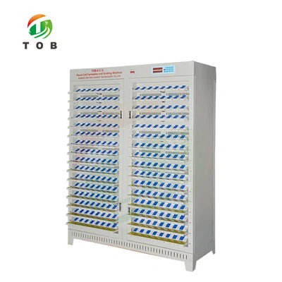 Pouch Cell Battery Capacity Tester